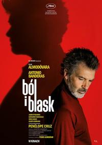Plakat filmu Ból i blask