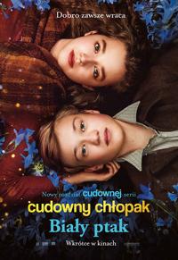 Poster of Cudowny Chłopak: Biały Ptak