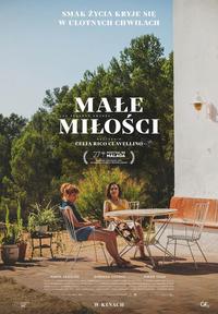 Poster of Małe miłości