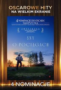 Poster of Sny o  pociągach
